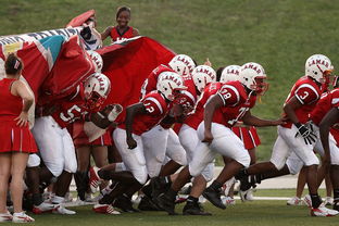 米兰体育下载-中超球队备战训练强度升级，中超各队预备队大名单